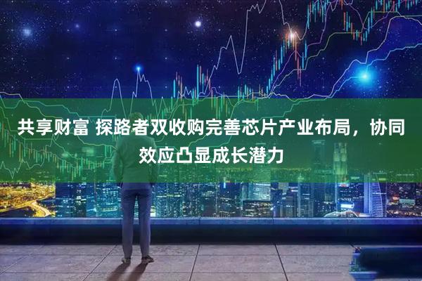 共享财富 探路者双收购完善芯片产业布局，协同效应凸显成长潜力