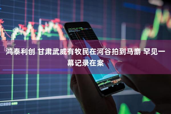 鸿泰利创 甘肃武威有牧民在河谷拍到马麝 罕见一幕记录在案