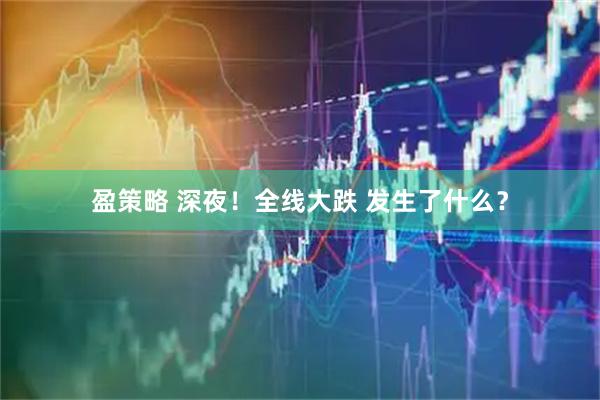 盈策略 深夜！全线大跌 发生了什么？