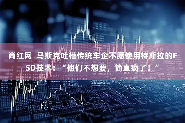 尚红网  马斯克吐槽传统车企不愿使用特斯拉的FSD技术：“他们不想要，简直疯了！”