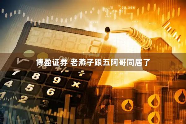 博盈证券 老燕子跟五阿哥同居了